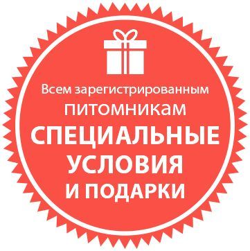 Специальные условия