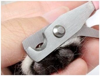 Ножницы для собак маленьких пород