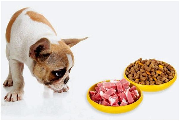 Таблица порции сухого корма для собак
