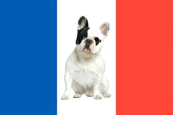 Французские породы собак
