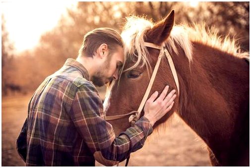 Как узнать, любит ли вас ваша лошадь