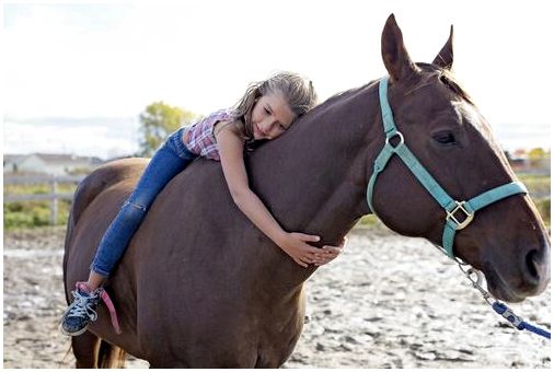 Девушка обнимает ее лошадь.