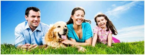 Порода собаки для семьи с ребенком фото thumbnail