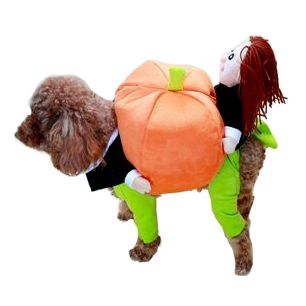 Смешное домашнее животное Собака Тыквенные костюмы Пейнт-фестиваль Праздничная одежда Костюм Зимняя одежда