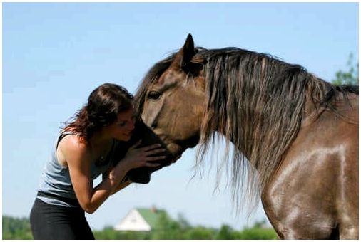 Женщина обнимает ее лошадь.