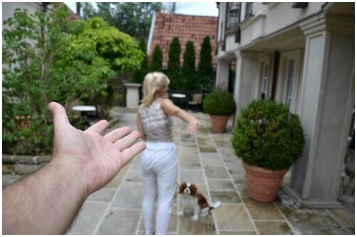 Женщина, собака и, очевидно, мужская рука во дворе.