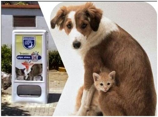 Ваша собака теперь может есть в торговом автомате!