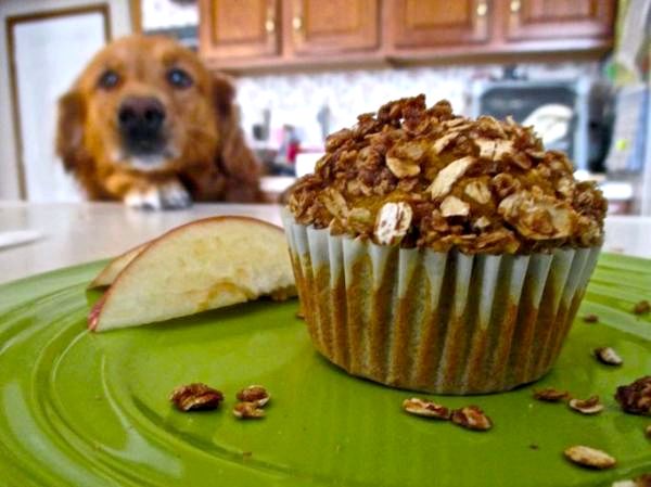 4 рецепта кексов (Pupcakes) для собак - Кексы или кексы для собак - яблоко и овсянка