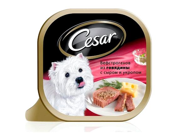 Цезарь для собак бефстроганов из говядины (сыр и укроп)