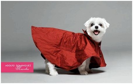 водонепроницаемое пальто коллекция одежды для собак