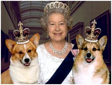 Королева Елизавета II с любимыми собачками