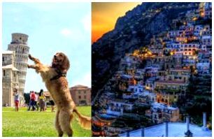 Итальянские породы собак стары, как сама Европа