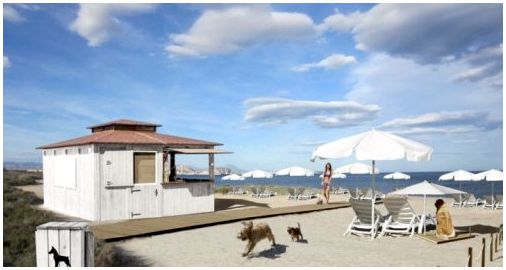 Первый пляжный бар для собак родился