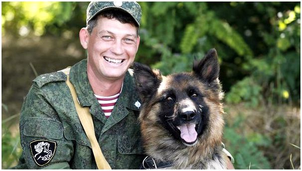 Породы собак в полиции россии thumbnail