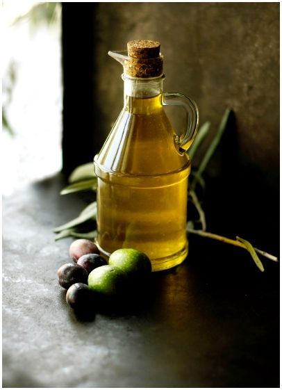 Оливковое масло в корме для собак thumbnail