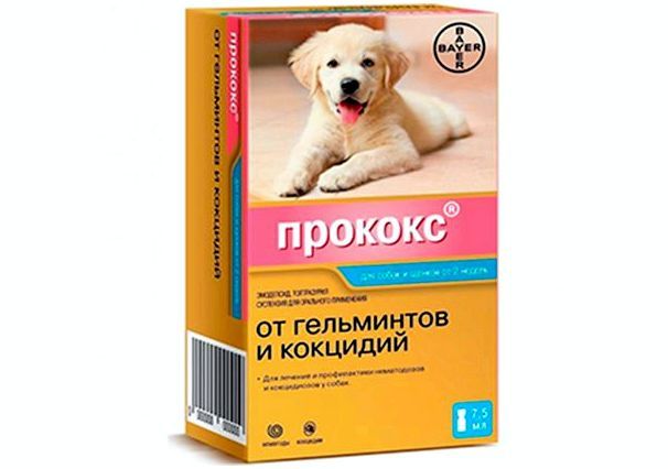 Суспензия Procox для собак от глистов