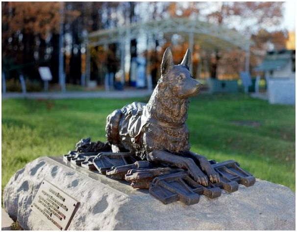 Памятник фронтовой собаке, Москва