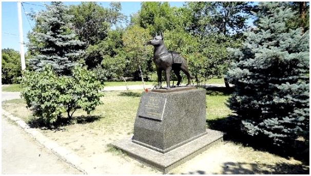 Монумент собакам-подрывникам, Волгоград