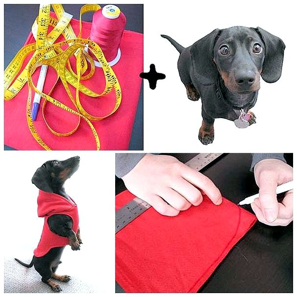 Интересные и простые выкройки одежды для собак: советы по пошиву своими руками