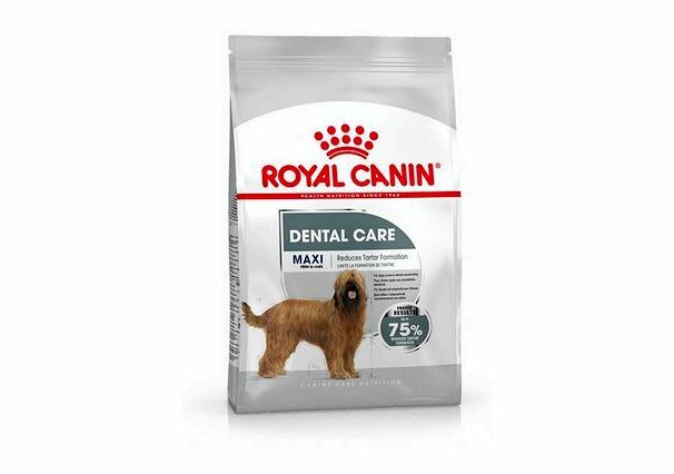 Dental care – при чувствительности челюстей