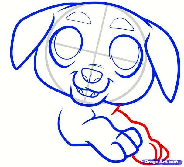 Рисуем щенка ротвейлера ребенку - шаг 6