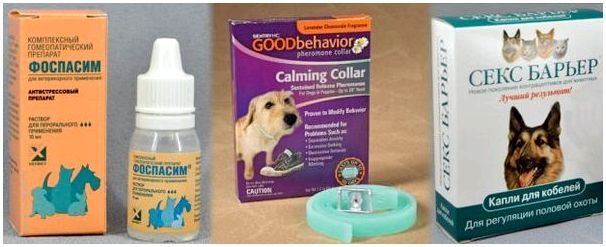 Успокоительные препараты для собак