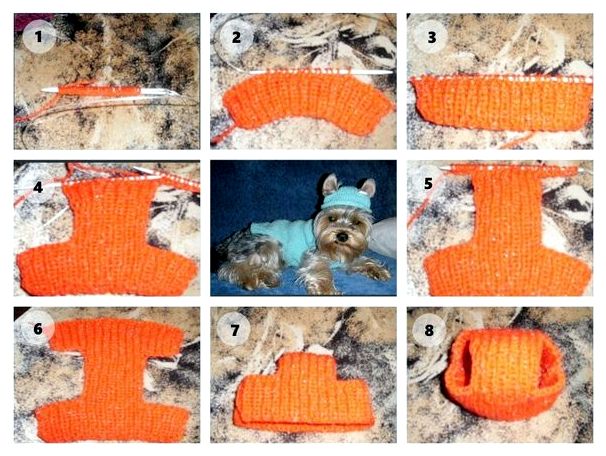 Вязание шапки для собаки