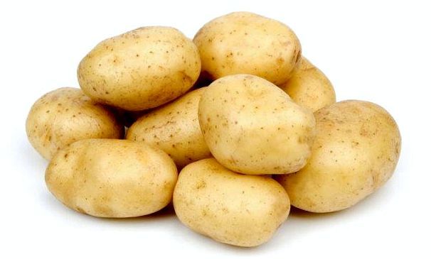 Для чего картофель в кормах для собак