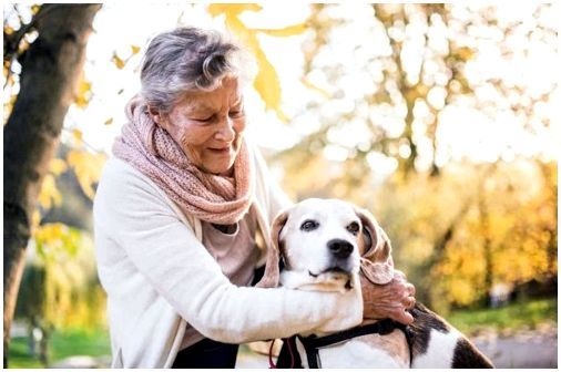 пенсионерка с собакой