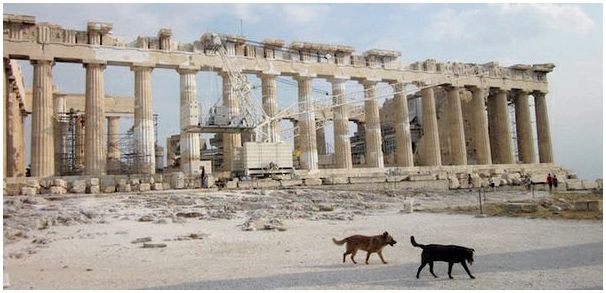 греческая универсальная собака Алопекис