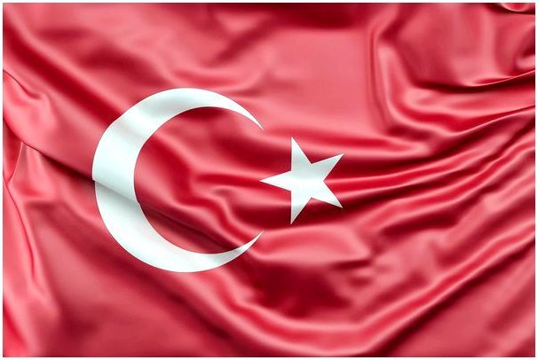 Вывоз домашних животных в Турцию: правила, документы, вакцинация