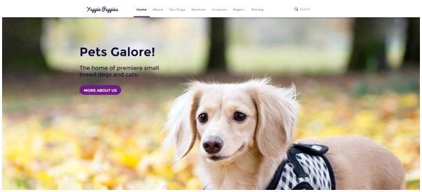HTML шаблоны: 15 премиум HTML шаблонов для сайтов о домашних животных