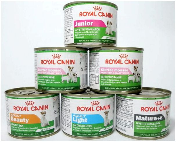 Консервы Royal Canin