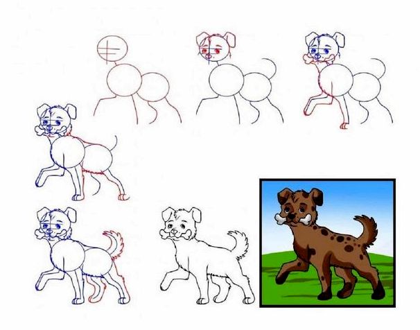 Породы собак рисунки карандашом для начинающих поэтапно