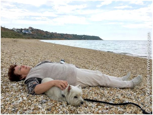 на пляжи крыма с собакой
