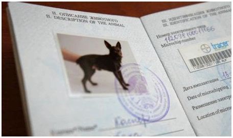 Документы на провоз собак из России в Украину
