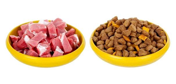 Каким мясом нужно кормить собаку сырым или вареным мясом