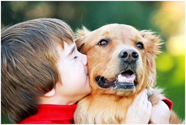Порода собаки хороший охранник и любит детей
