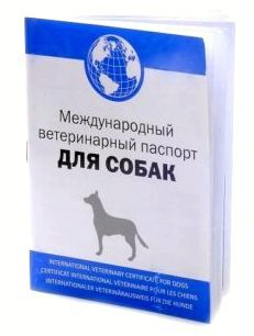 veterinarnyj-pasport