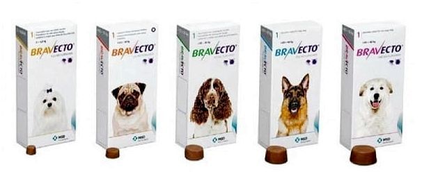 Таблетки Бравекто для профилактики пироплазмоза у собак