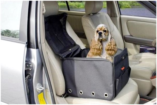 Автомобильная сумка для собак