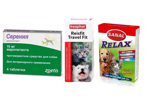 Лекарства от укачивания для собак
