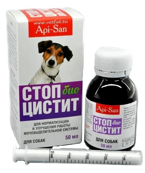 Цистит у собаки препараты для лечения