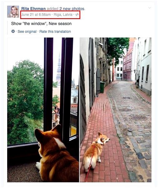 Какой породы собаки шувалова