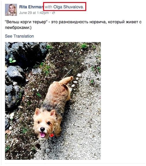 Какой породы собаки шувалова