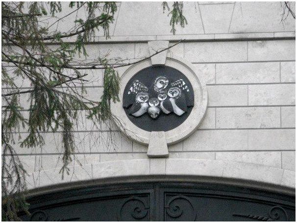 Какой породы собаки шувалова
