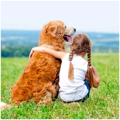 5 лучших пород собак для детей с аутизмом