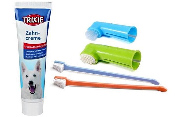 Какую зубную щетку выбрать для собаки
