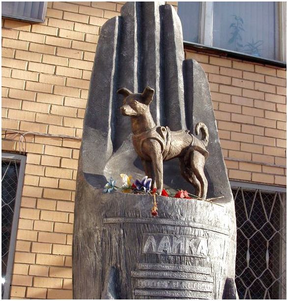 Памятник Лайке ( 2008 год)