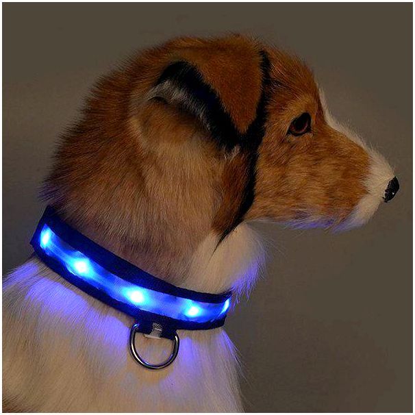 светящийся ошейник для собак на батарейках 